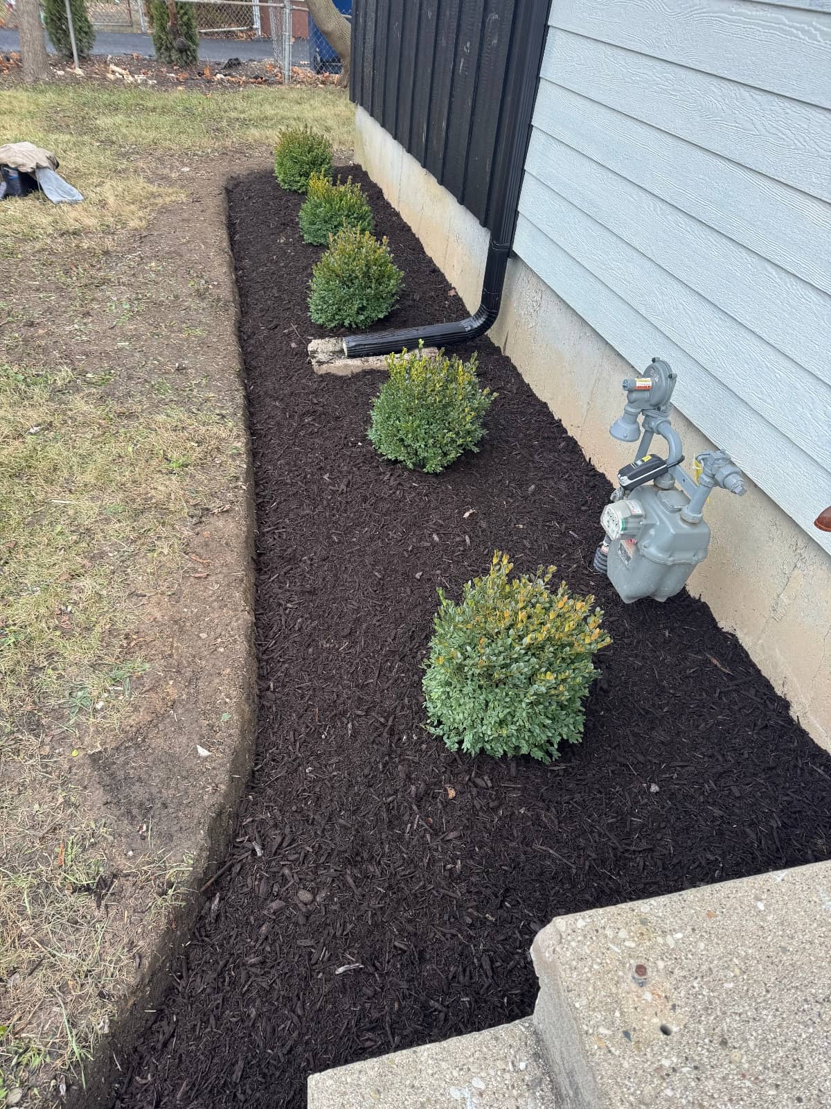 black mulch