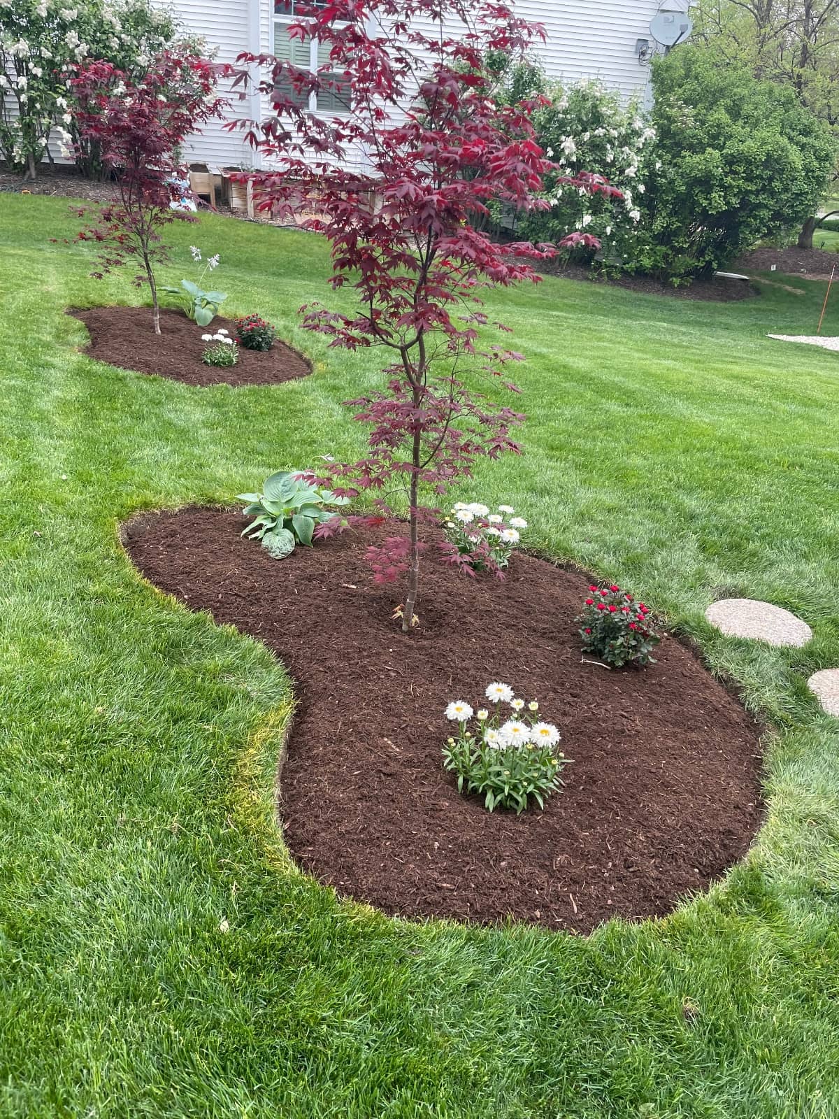 landscaping design with small trees growing