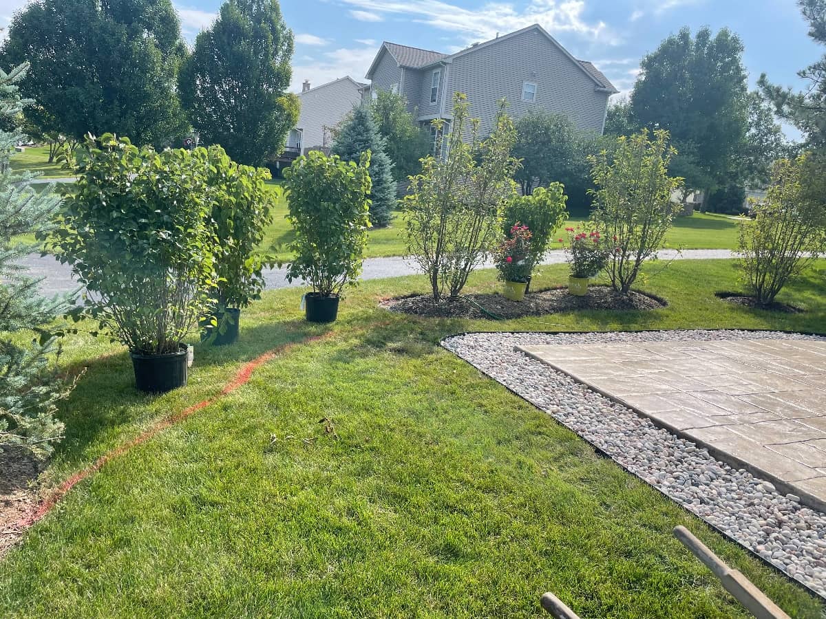 yard surrounded by trees