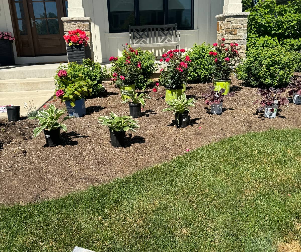 landscaping design