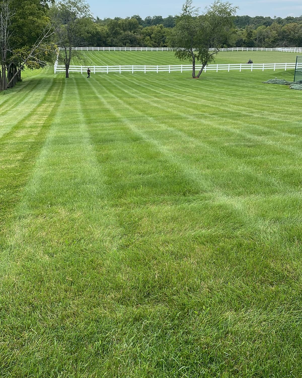 recently mowed lawn