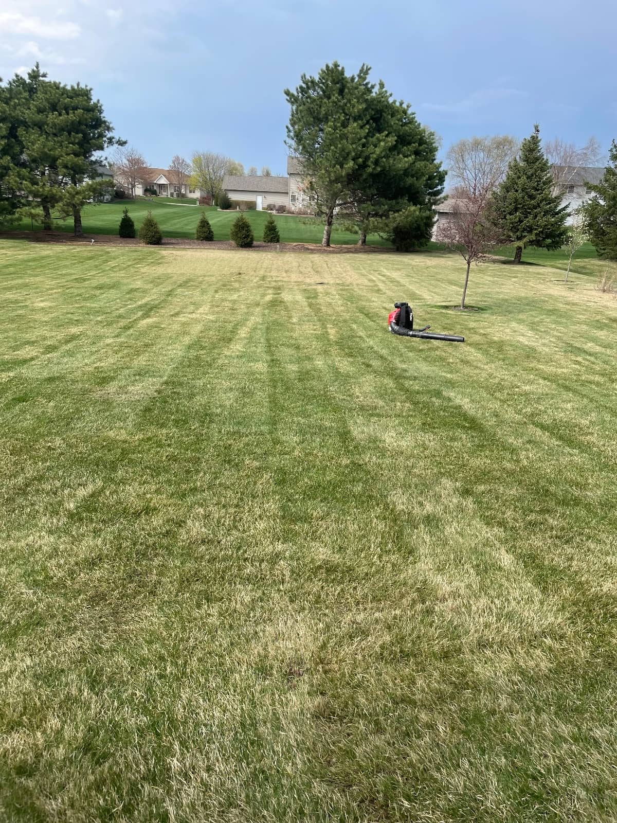 large yard freshly mowed